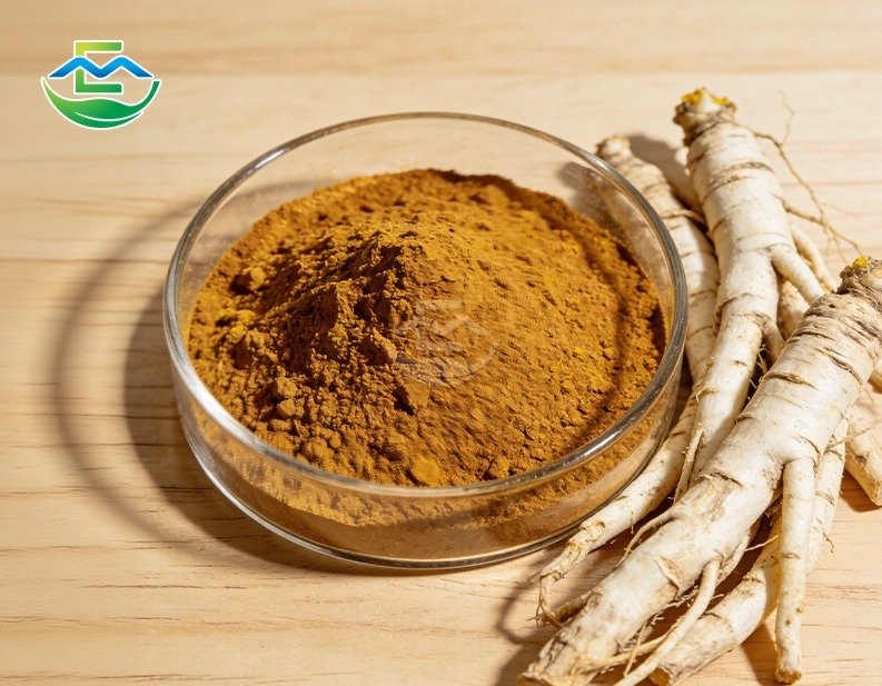 Hydrastis canadensis Root Extract